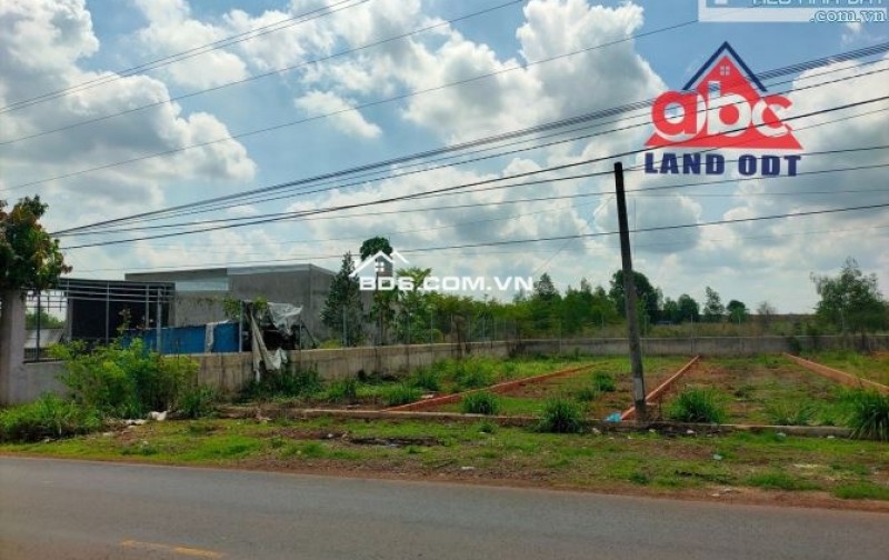 Kẹt tiền mua bán kinh doanh cần bán gấp căn nhà cấp 4 tại đường số 18 (Đường Điện Biên Phủ), TT Lạc Tánh, Huyện Tánh Linh, tỉnh Bình Thuận.